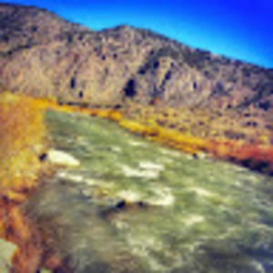 Meet your Posher, Angella